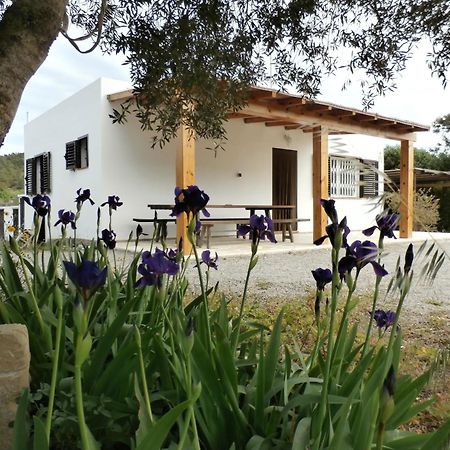 Sa Vinya Casa De Campo Es Cubells Eksteriør bilde